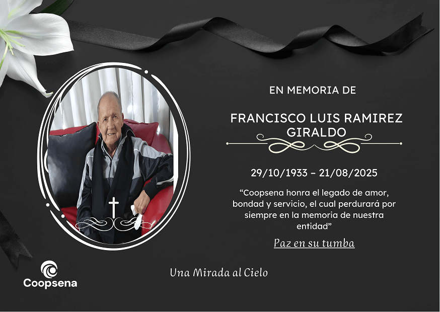 Descripción de la imagen 3