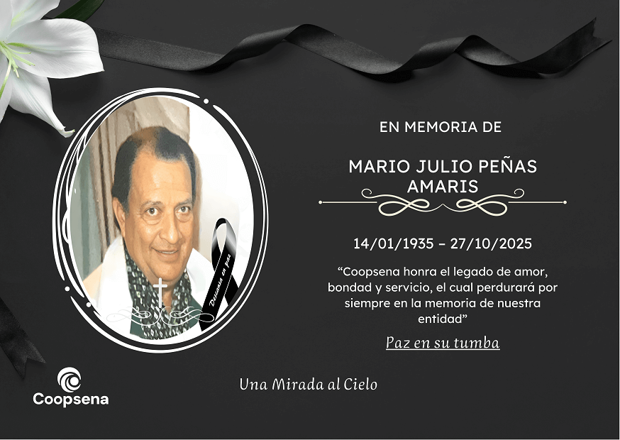 Descripción de la imagen 3