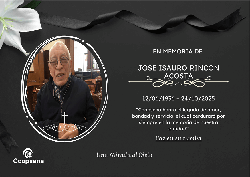 Descripción de la imagen 3