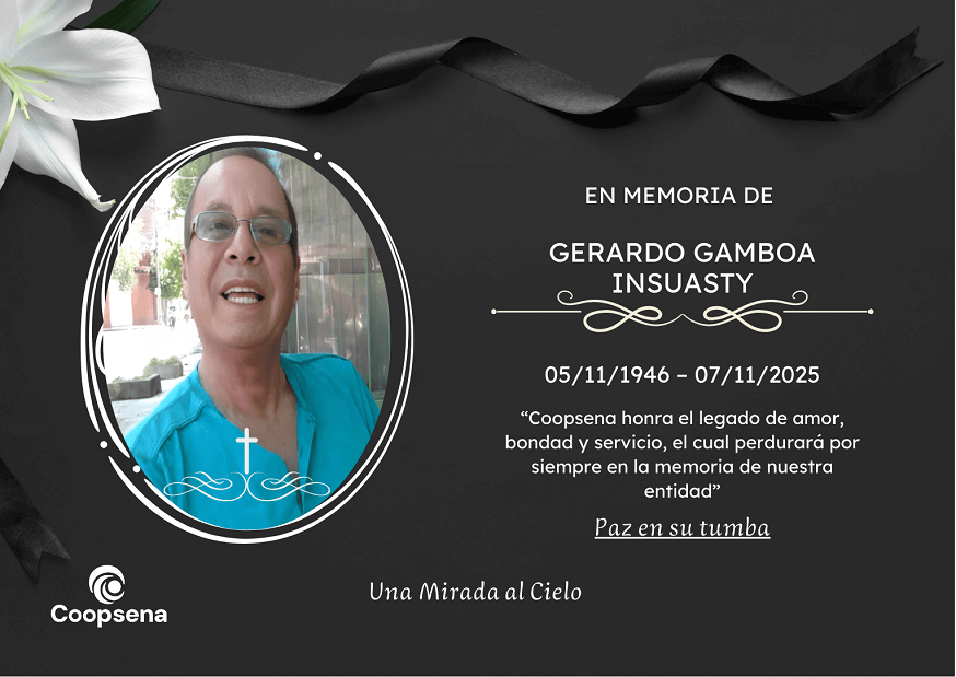 Descripción de la imagen 4