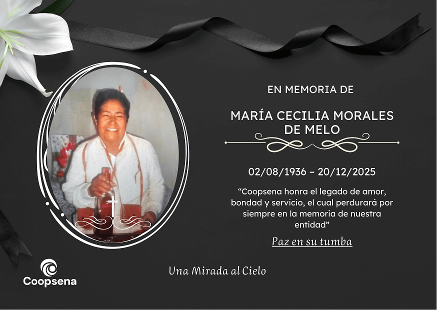 Descripción de la imagen 3