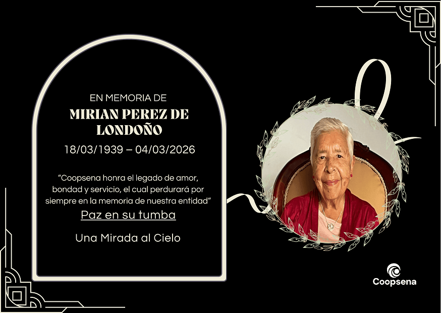 Descripción de la imagen 3