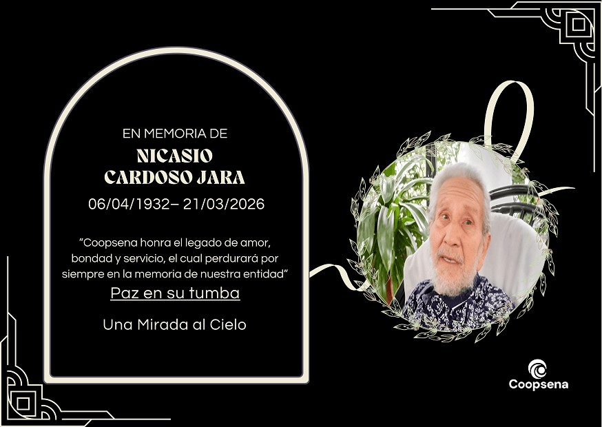Descripción de la imagen 4