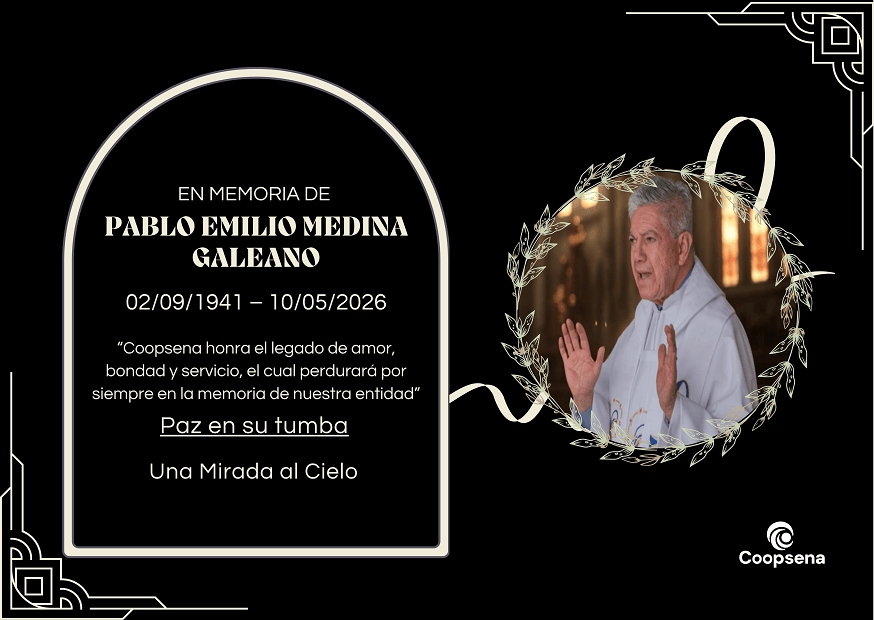 Descripción de la imagen 3