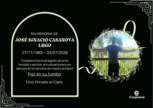 Descripción de la imagen 4